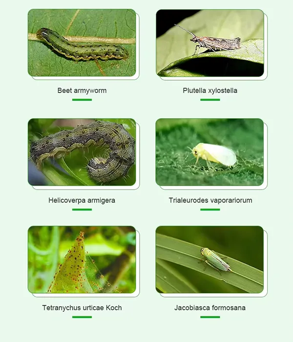 Imidacloprid product details-3